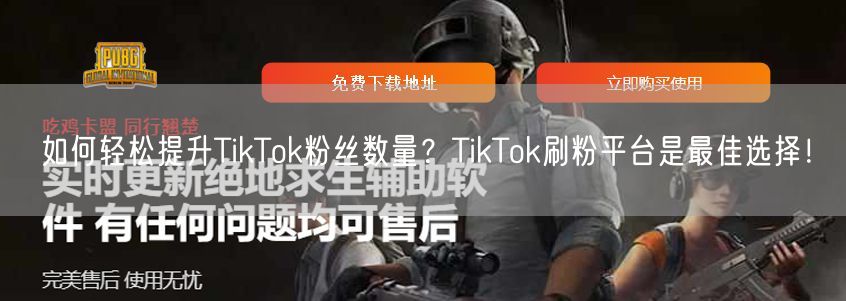 如何轻松提升TikTok粉丝数量？TikTok刷粉平台是最佳选择！