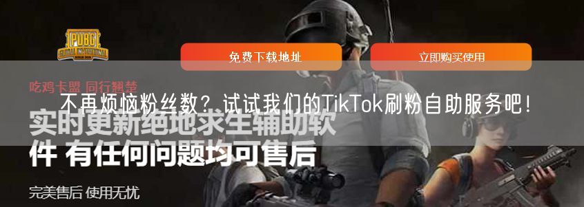 不再烦恼粉丝数？试试我们的TikTok刷粉自助服务吧！